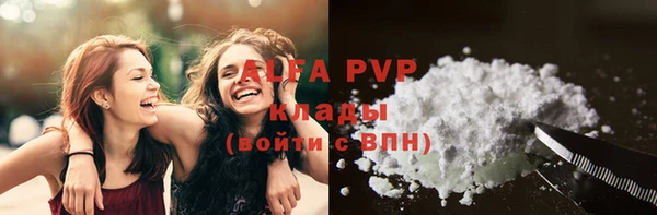 сатива Белокуриха