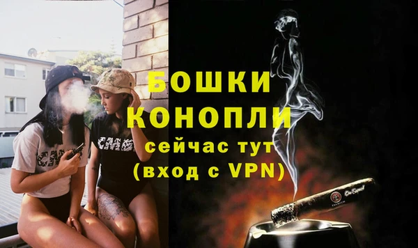 героин Богданович