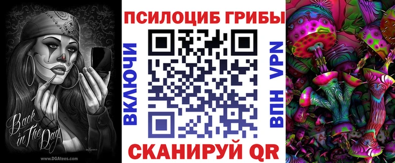 маркетплейс клад  Гай  Галлюциногенные грибы Psilocybine cubensis  где продают наркотики 