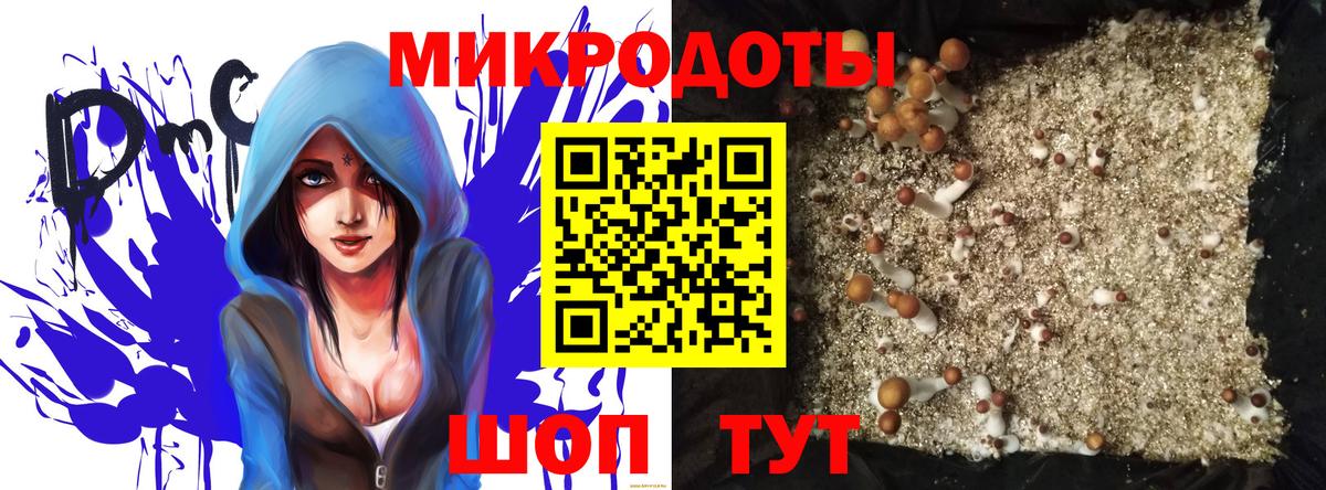 Псилоцибиновые грибы Magic Shrooms Гай