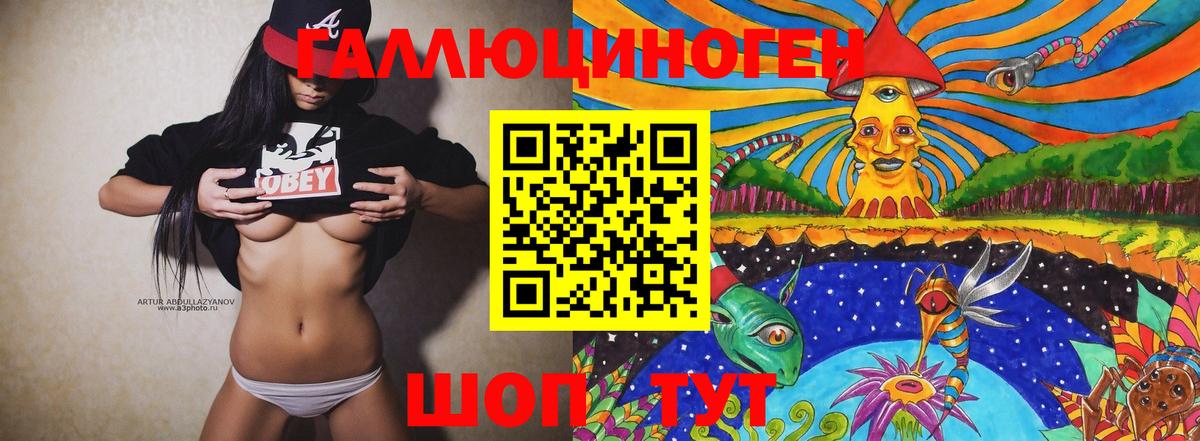 Галлюциногенные грибы Psilocybine cubensis  Вход с VPN  Гай 